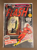 THE FLASH #208 (1971)