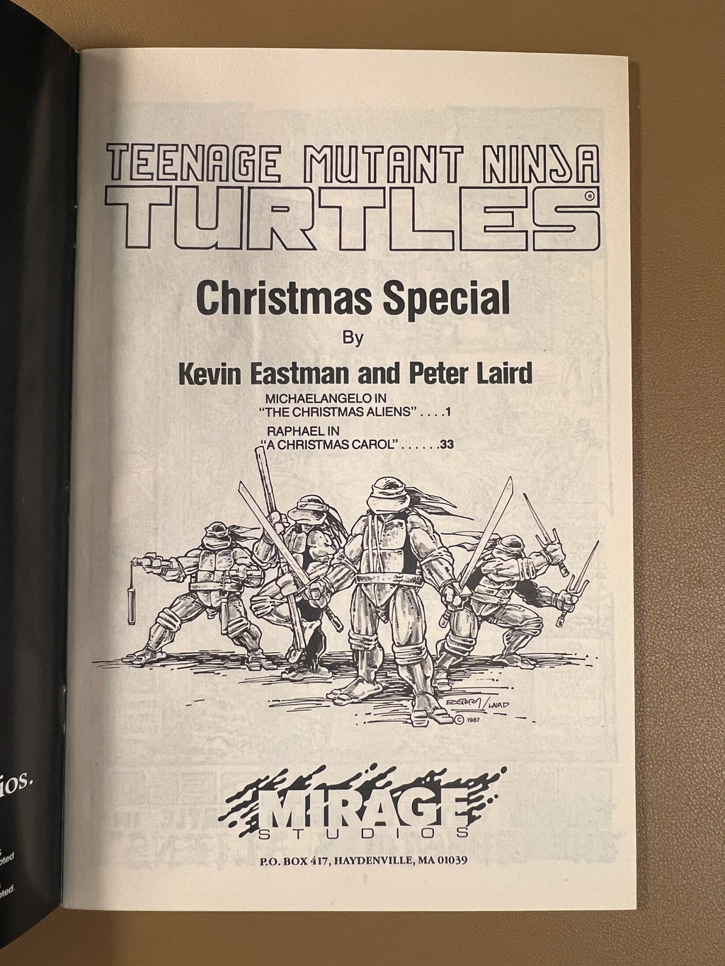 MICHELANGELO CHRISTMAS SPECIAL – TEENAGE MUTANT NINJA TURTLES