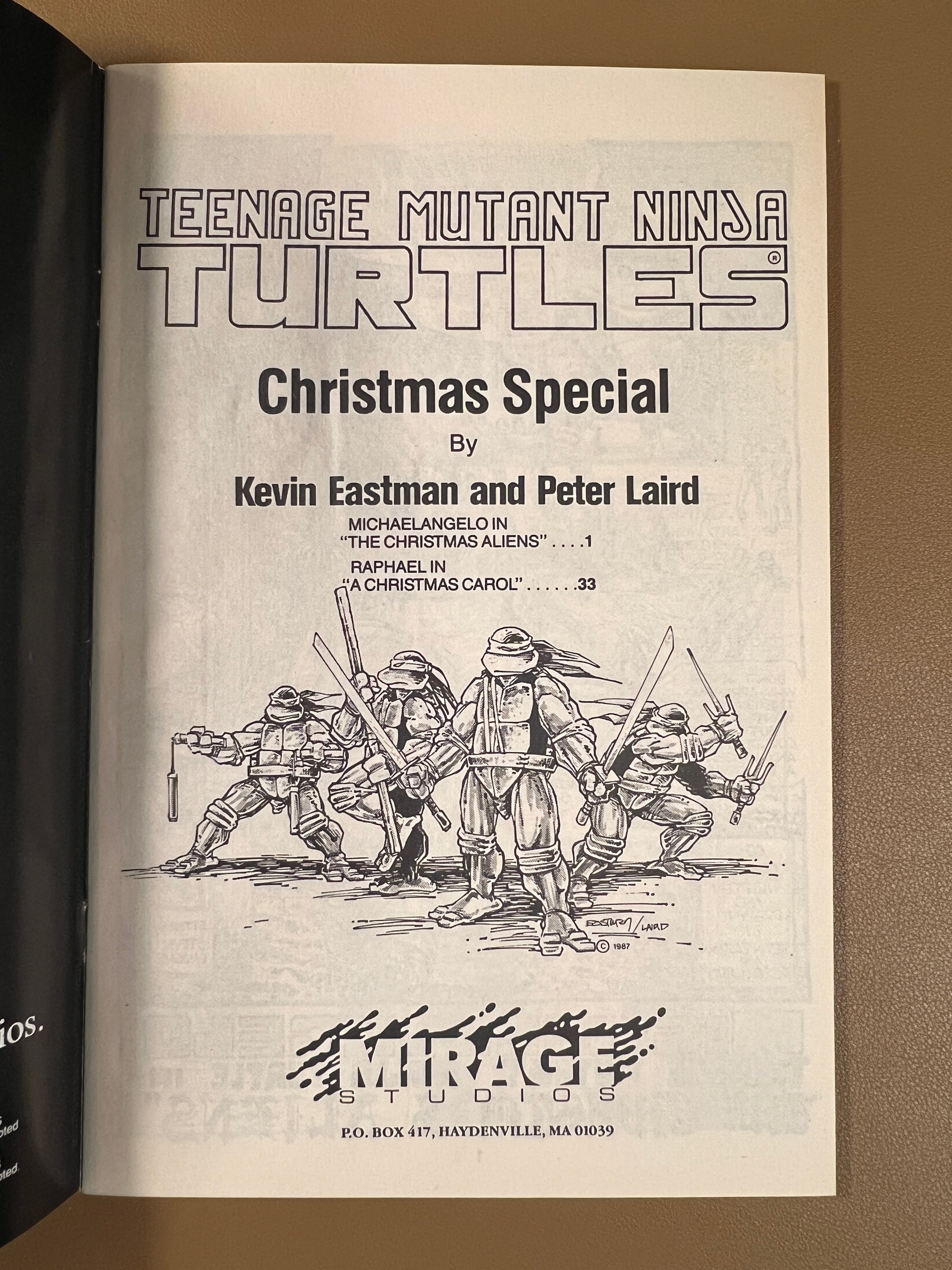 MICHELANGELO CHRISTMAS SPECIAL – TEENAGE MUTANT NINJA TURTLES
