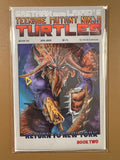 TEENAGE MUTANT NINJA TURTLES #20 (1989)