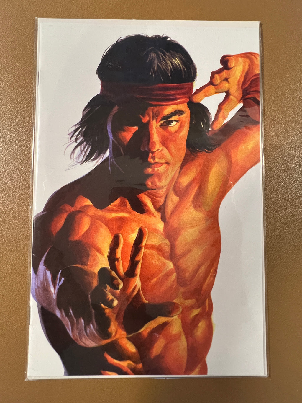 Alex Ross Timeless Lot 6