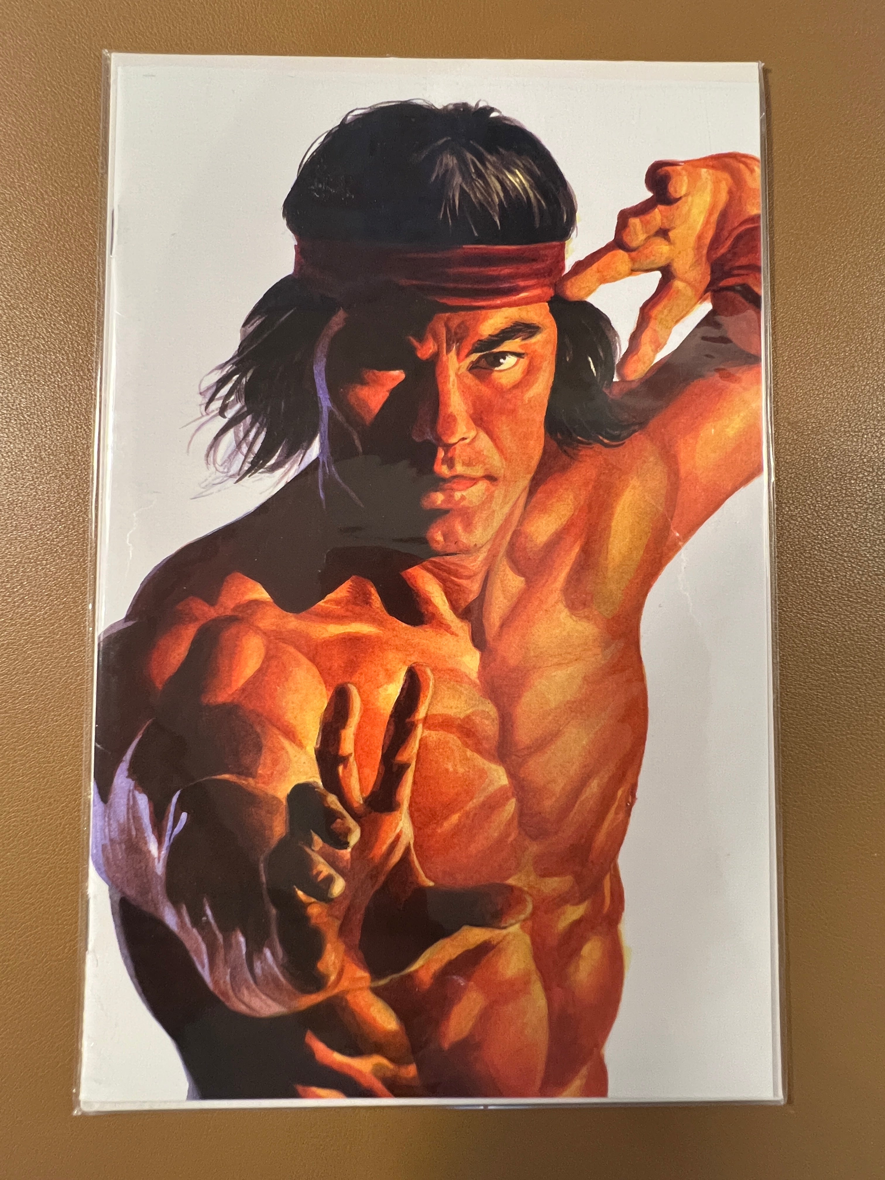 Alex Ross Timeless Lot 6