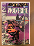 MARVEL COMICS PRESENTS #1