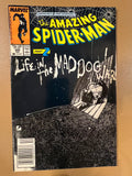 The Amazing Spider-Man #295
