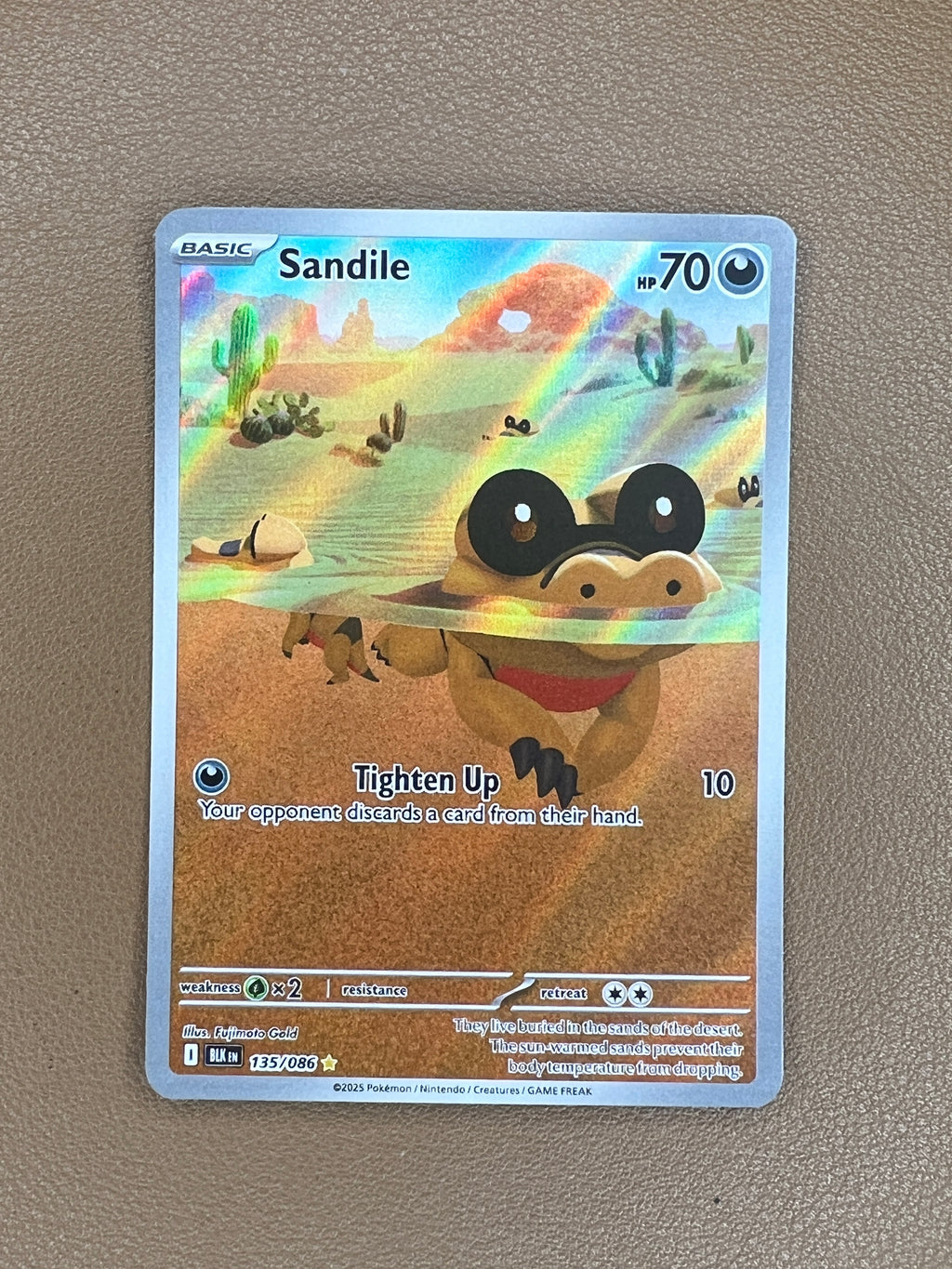 Sandile #135/086 – Illustration Rare (IR) – Black Bolt